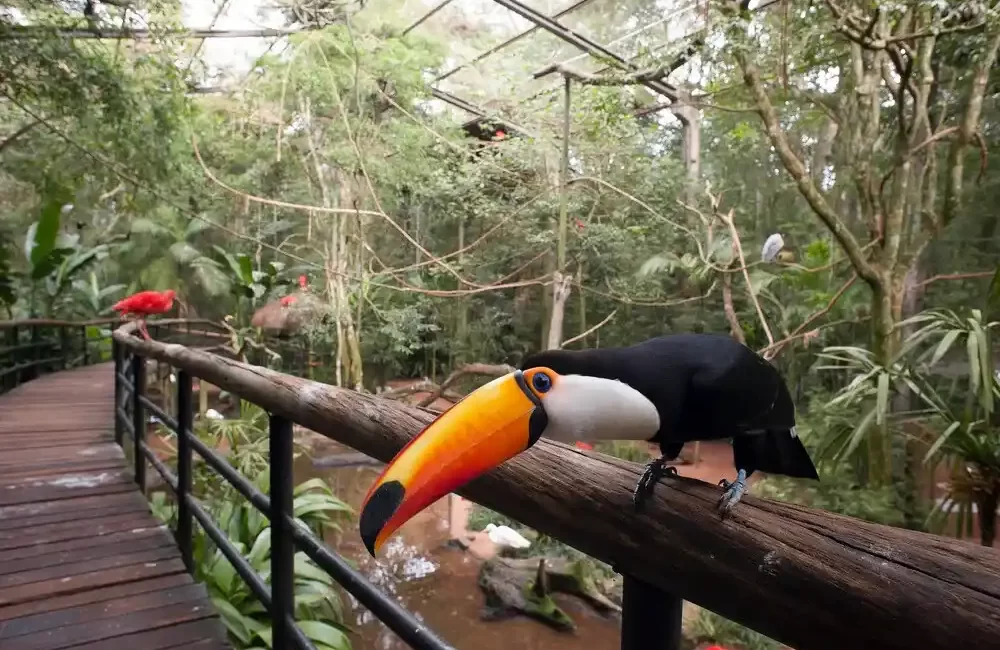 Bird Park